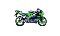 Carenados Kawasaki ZX9R 2002-2003 Baratos