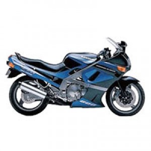 Carenados Kawasaki ZZR600 1998-2003 Baratos