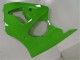 Carenados Moto Kawasaki ZX6R 2000-2002 - Verde Negro Baratos