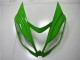 Carenados Moto Kawasaki ZX6R 2013-2018 - Verde Blanco Negro Brillante Baratos