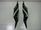 Carenado Moto Kawasaki ZX6R 2013-2018 - Verde Negro Brillante Baratos