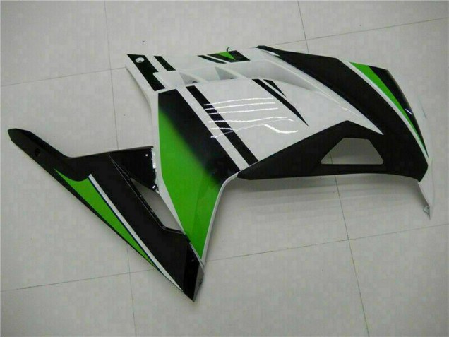 Carenados Moto Kawasaki Ninja 300 EX300R 2013-2024 - Blanco Verde Negro Baratos