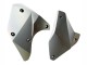 Carenados Moto Kawasaki Ninja H2 2015-2022 - Plata Baratos