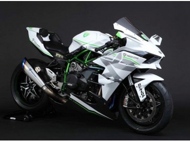 Carenados Moto Kawasaki Ninja H2 2015-2022 - Blanco Plata Verde Baratos