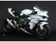 Carenados Moto Kawasaki Ninja H2 2015-2022 - Blanco Plata Verde Baratos