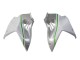 Carenados Moto Kawasaki Ninja H2 2015-2022 - Blanco Plata Verde Baratos