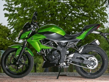 Carenados Moto Kawasaki Z250/Z300 2015-2016 - Verde Negro Mate Baratos