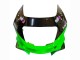 Carenados Moto Kawasaki ZZR600 1998-2003 - Verde Negro Monstruo Elf Baratos