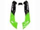 Carenados Moto Kawasaki ZZR600 1998-2003 - Verde Negro Brillante Llama Baratos