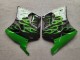 Carenados Moto Kawasaki ZZR1100 1993-2003 - Negro Brillante Verde Llama Baratos