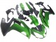 Carenados Moto BMW K1200S 2005-2010 - Verde Negro Mate Baratos