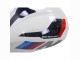 Carenados Moto BMW S1000RR 2023-2024 - Blanco Azul Rojo Negro Mate Baratos