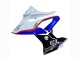Carenado Moto BMW S1000RR 2017-2018 - Blanco Azul Rojo Negro Brillante Baratos