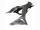 Carenados Moto Kawasaki ZX6R 2023-2025 - Gris Ninja Baratos