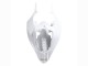 Carenados Moto Yamaha YZF 1000 R1 2004-2006 - Blanco Oro Calcomanías Baratos