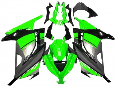 Carenados Moto Kawasaki EX300 2013-2024 - Verde Plata Negro Baratos