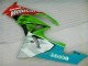 Carenados Moto Kawasaki ZX6R 2009-2012 - Verde Blanco Rojo Negro Azul Motocard Baratos