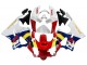 Carenados Moto Honda CBR900RR 919 1998-1999 - Blanco Rojo Amarillo Azul Baratos