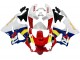 Carenados Moto Honda CBR900RR 919 1998-1999 - Blanco Rojo Amarillo Azul Baratos