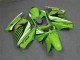Carenado Moto Kawasaki EX250 2008-2012 - Verde Blanco Negro Baratos
