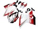 Carenados Moto Ducati 1199 2011-2014 - Blanco Rojo Verde Negro Brillante Baratos