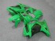 Carenados Moto Kawasaki EX250 2008-2012 - Verde Negro Baratos