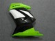 Carenados Moto Kawasaki EX250 2008-2012 - Verde Blanco Negro Baratos