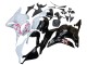 Carenados Moto Honda CBR600RR 2009-2012 - Blanco Cherry Blossom Negro Brillante Baratos