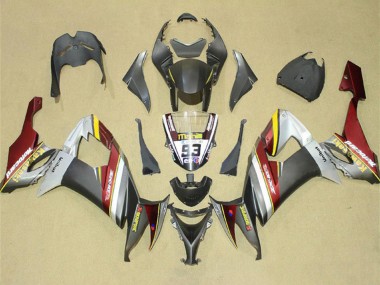 Carenados Moto Kawasaki ZX10R 2008-2010 - Plata Gris Amarillo Rojo Baratos