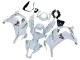 Carenados Moto Kawasaki ZX10R 2011-2015 - Blanco Verde Raya Negro Ninja Baratos