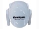 Carenados Moto Kawasaki ZX10R 2011-2015 - Blanco Verde Raya Negro Ninja Baratos