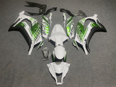 Carenados Moto Kawasaki ZX10R 2011-2015 - Blanco Verde Negro Mate Baratos