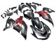 Carenados Moto Kawasaki ZX14R ZZR1400 2012-2024 - Negro Mate Rojo Blanco Ninja Baratos