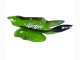 Carenados Moto Kawasaki ZX6R 1998-1999 - Verde Blanco Azul Plata Negro Brillante Baratos