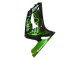 Carenados Moto Kawasaki ZX6R 2003-2004 - Negro Brillante Verde Llama Baratos