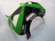 Carenados Moto Kawasaki ZX6R 2003-2004 - Verde Negro Elf Bridgestone Baratos