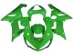 Carenados Moto Kawasaki ZX6R 2005-2006 - Verde Baratos
