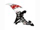 Carenados Moto Yamaha YZF 1000 R1 2002-2003 - Blanco Rojo Negro Castrol Baratos