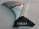 Carenado Moto Yamaha YZF 1000 R1 2009-2011 - Plata Negro Baratos