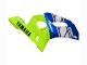 Carenados Moto Yamaha YZF 600 R6 1998-2002 - Neon Verde Azul Blanco Champions Baratos