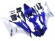 Carenados Moto Yamaha YZF 600 R6 2006-2007 - Blanco Azul Negro Baratos
