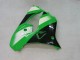 Carenados Moto Kawasaki ZX9R 2000-2001 - Verde Plata Negro Baratos