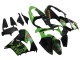 Carenados Moto Kawasaki ZX9R 2000-2001 - Verde Negro Playboy DENSO Baratos
