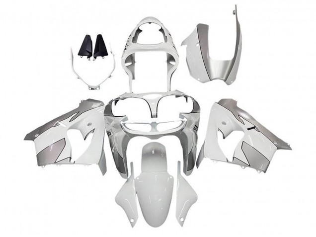 Carenados Moto Kawasaki ZX9R 2002-2003 - Blanco Plata Baratos