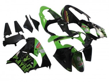 Carenados Moto Kawasaki ZX9R 2002-2003 - Verde Negro Playboy Baratos