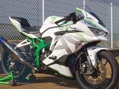Carenados Moto Kawasaki ZX4R ZX-4RR 2019-2025 - Blanco Plata Verde Baratos
