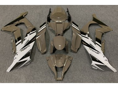 Marrón Brillante & Blanco 11-15 ZX10R Carenado Moto