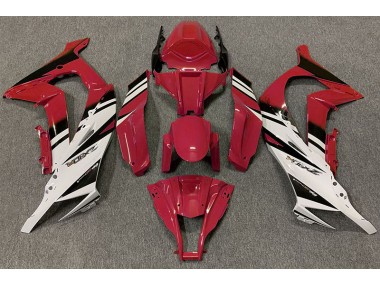 Rojo Brillante & Blanco 11-15 ZX10R Carenado Moto