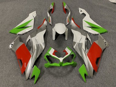Rojo Personalizado / Verde & Plata 19-23 ZX6R Carenado Moto