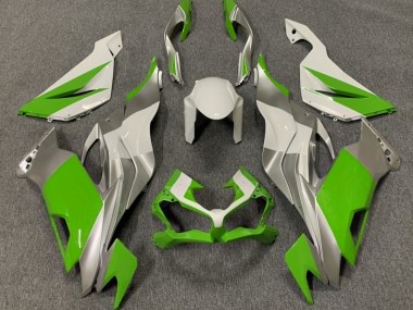 Verde Brillo Blanco & Plata 19-23 ZX6R Carenado Moto